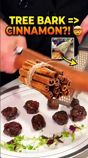 How Cinnamon is ACTUALLY Made! 🤯 shorts #cinnamon #facts