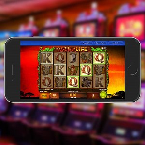Wild Life Slot Machine Free Online