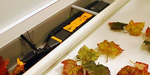 iRobot Introduces New Looj, Updated Roombas