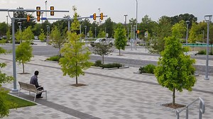 Who owes back taxes in South Carolina? It’s about to go online on a new public website