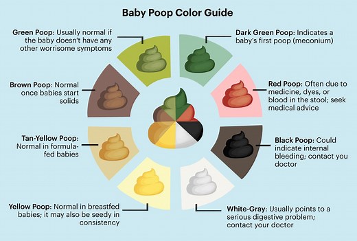 The Complete Baby Poop Guide: What's 'Normal' and What's Not