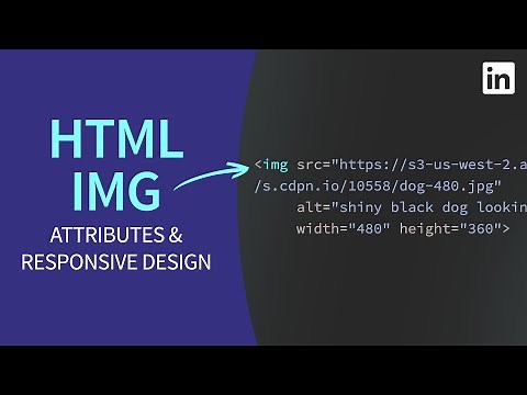 HTML Tutorial - IMG tag attributes and responsive resolution