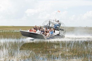 Florida Everglades Airboat Adventure and Wildlife Encounter