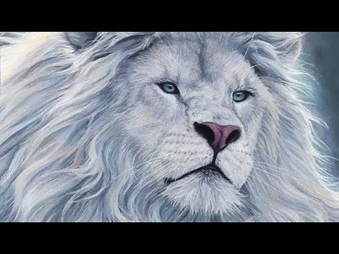 10 Majestic Animals With Incredible Beauty