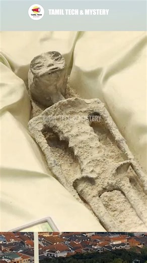 👽Peru Alien Mummiesபெருவின் குகையில் ஏலியன் போன்ற மம்மிகள்! #peru #AlienMummy #aliens #egypt #mummy #facts #viralreels #vlogs 👽Breaking Mystery from Peru! 🚨 Strange alien-like mummies have been discovered once again, and scientists are shocked by the new evidence. | Tamil Tech & Mystery
