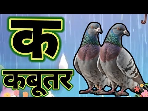 K Se kabutar//nursery rhymes//a Se anar for kids//swar vyanjan Hindi varnmala ‪@Kideasyzone-‬