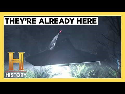 Alien Encounters You Won't Believe | Ancient Aliens | History