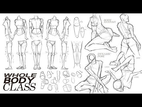 🙌🏻 BODY ANATOMY POSE CLASS [ "A to Z" TUTORIAL ] 🙌🏻