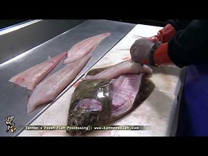How to fillet a Halibut by Tanner's Fresh Fish Alaska