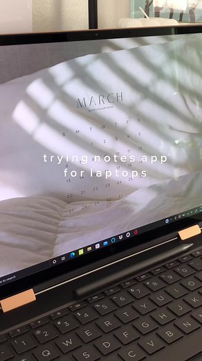 Trying Notes App for Laptops