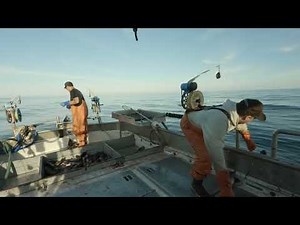 Jigging for Rockfish and Cod! Fishing in the Gulf of Alaska!