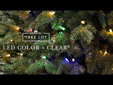 LED Color + Clear | Balsam Hill® Tree Lot
