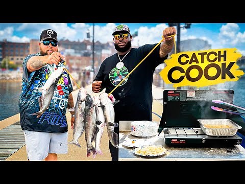 Crazy Catfish Catch Clean And Cook (Urban Fishing)