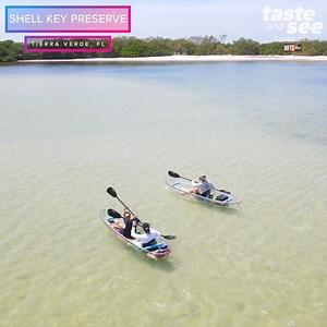 🌴 SHELL KEY PRESERVE 😍 Take an adventure to Shell Key Preserve in a completely clear kayak – just south of St. Pete Beach! More >> tasteandseetampabay.com via Get Up And Go Kayaking - Tampa Bay | Zack Perry