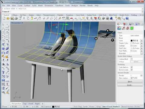 Rhino 3D Custom Mapping
