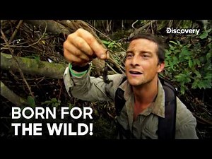 Survival Just Got Upgraded! | Survival Powerplay | Promo | Discovery Channel