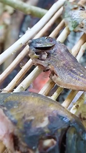 Making grilled fish on a deserted island #survivalskills #fishing