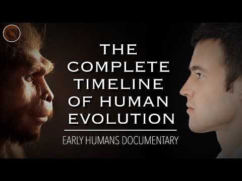 Exploring The Origins Of Humanity: A Complete Timeline of Human Evolution | Documentary