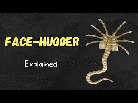 Face Hugger - Explained (Alien Lore)