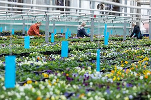 Economic Development Strategy