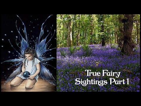 I Saw A Faerie! True Fairy Sightings & Encounters with Strange Fairy Beings Part 1