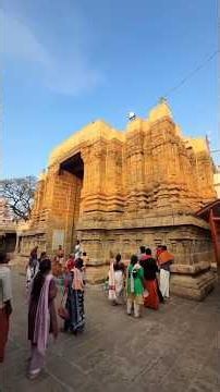 பழனி முருகன் கோவில் 11 அதிசயங்கள் #travel #vlog #explore #god #love #facts #history #tips #ytshorts