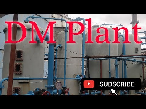 Basic DM Plant information