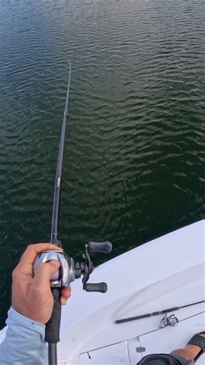 Topwater explosion! | Jonny Brooks Fishing