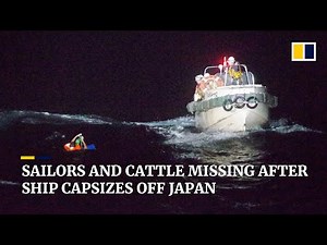 Dozens of sailors, about 6,000 cattle missing after cargo ship capsizes near Japan during typhoon