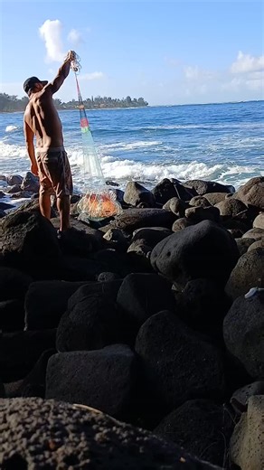 Upena™️ LLC Jerrid Ham Young on Instagram: "Kept this UPENA®️BRAND MAKALI'I For myself to have for demonstrations and display. Here's the first throw, first fish, first puka, first relase on a first take solo like always. Side note: this was for fun, I knew this place eats nets. Do not throw the your nice nets in these kinds of areas, you will cry if you seen the hole in this little net.. I wanted to test it in the worst place I could've thrown this Jade mesh 😂 but it had the best frame for the