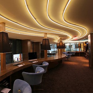 The Ultimate Guide to LED Neon Flex Lights