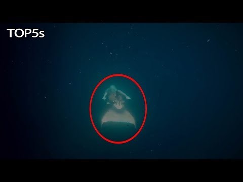 The Real History Behind Mermaids | 5 Fascinating Facts About These Underwater Mythological Creatures