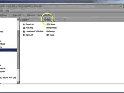 11 Different Types of Files