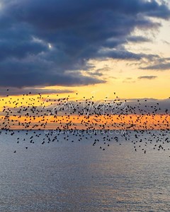 10 Thing’s to do & Reasons to Visit Brighton in Winter — sian victoria