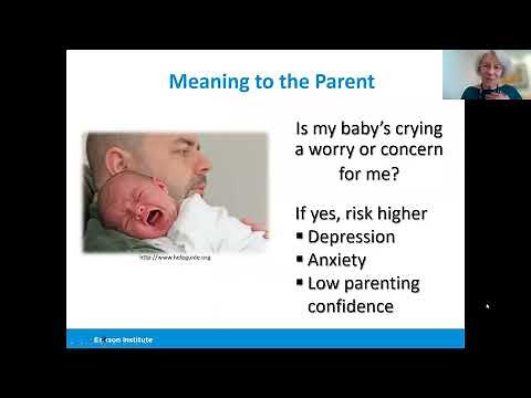 Overview of the Facilitating Attuned Interactions (FAN) Approach