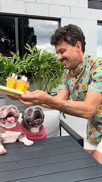 Picolé de Manga com Abacaxi 🫶🤩🐾 Vamos preparar um Picolé delicioso para seu cão? 🐾🐾