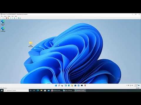 Locals Users & Groups in Windows 11