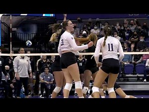 VB: Washington vs. Hawaii Recap