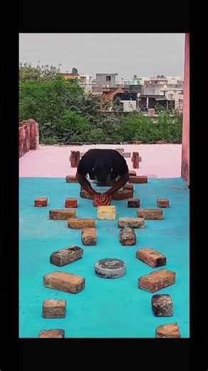 World’s Hardest Push-Up Challenge 🧱🔥 Try If You Dare! #pushupchallenge #homeworkout #viral