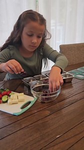 4 Pack Stainless Steel Snack Containers with Lids 4 Compartment Lunch Box for Adults & Kids Meal Prep Bento Box Containers Reusable