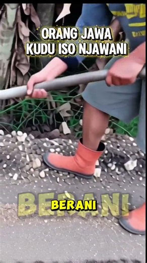 Wong Jowo Kudu Iso Njawani #wongjava #javascript