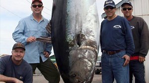 A closer look at the biggest fish caught on Wicked Tuna