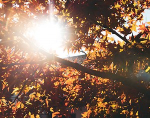 Campus Map • North Greenville University