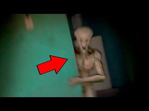 8 VIDEOS von KREATUREN die 2019 für ECHT gehalten werden