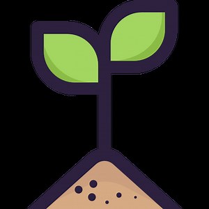 What Are The Classifications Of Weeds Sedges Grasses Broadleaves