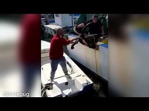 Bad day at the dock | Boat Fail Fridays
