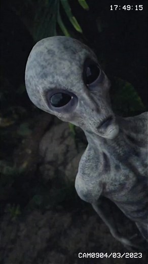 Alien Encounters: Surveillance of Different Alien Races Found in Egypt and Gray Mountains