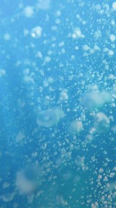 Did you know these five incredible Lake Tahoe facts? Witness the wonder of one of the deepest lakes in the world for yourself. 🔗 https://brnw.ch/21wShnG | Lake Tahoe Travel