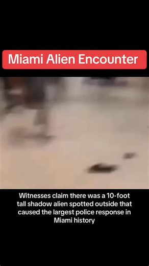 Indigo Carolina on Instagram: "Credits: @thestrangestofficial The Miami Alien Encounter happened at the Bayside Marketplace Mall on New Year’s Day 2024 causing the largest Police Response in Miami history. The official story is that it was all caused by teens in the area, however eyewitnesses claim it was a 10-foot shadow alien spotted outside a mall Many believe this creature was even caught on camera in this footage of the incident. Yet, no official bodycam or mall surveillance footage has eve