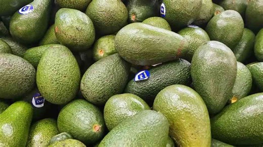 Avocado Essentials: 8 Must-Know Facts for Every Avocado Lover